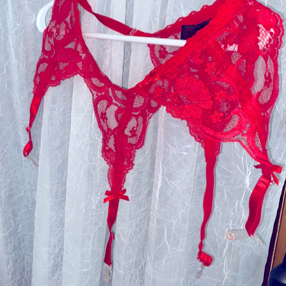Vintage sexy ladies garter belt.